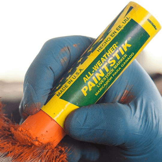 061028 All-Weather Paintstik Livestock Marker - Fluorescent Orange - (Case of 144) - Beltsmart